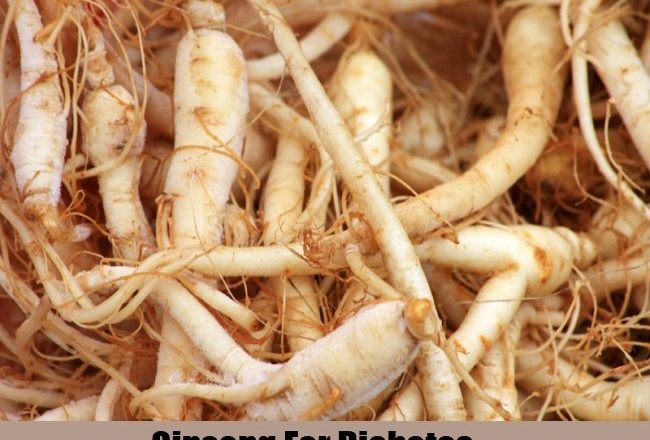 Use of ginseng in the treatment of diabetes