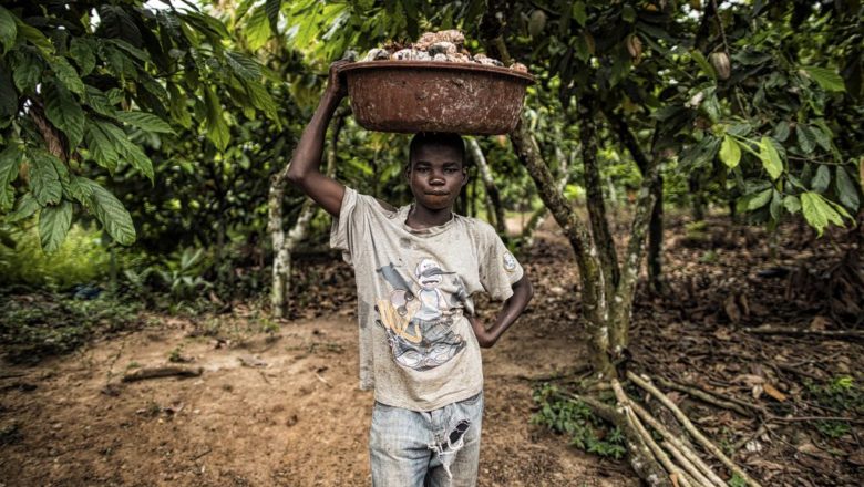 Chocolate and African Child Labor