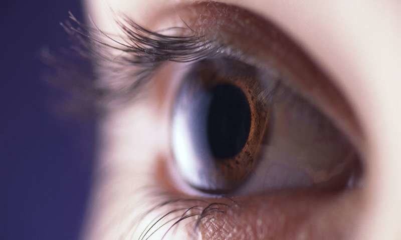 the Amblyopia run scape Playing Online Browser Games Improves Your Vision