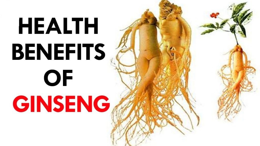 Ginseng properties for balanced energy and stress