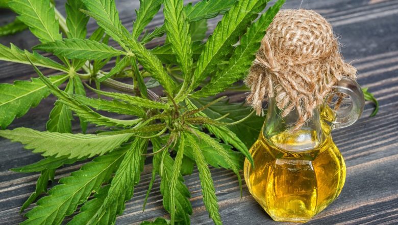 Your In-Depth Guide to CBG Oil – and Why It is Making a Mark in a Big Way