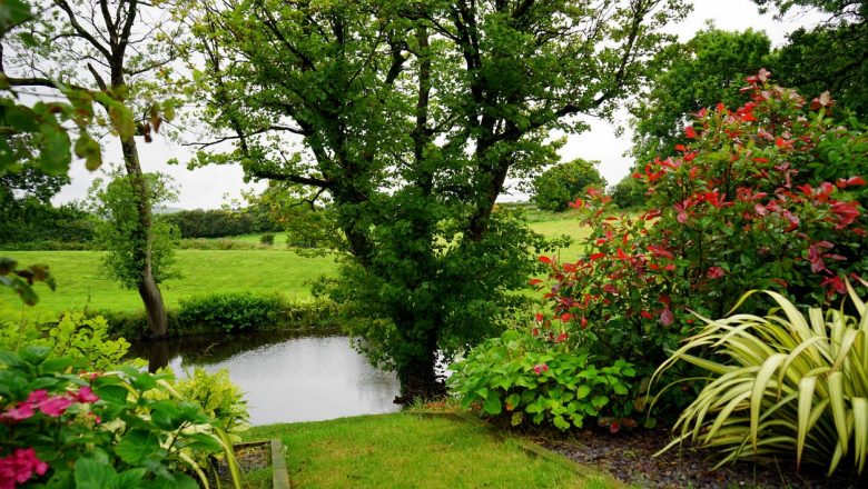 Guided tour to stunning gardens in the west of England